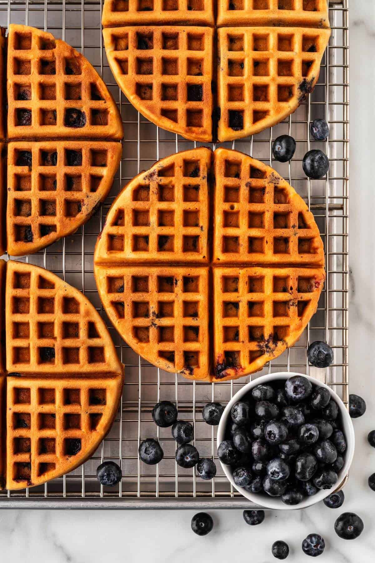 Blueberry waffles on wire cooling rack with cup of blueberries.