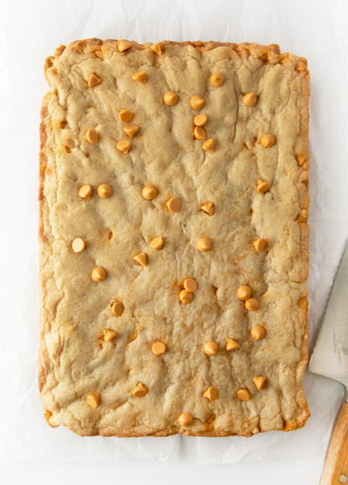 baked 9x13 pan of butterscotch bars