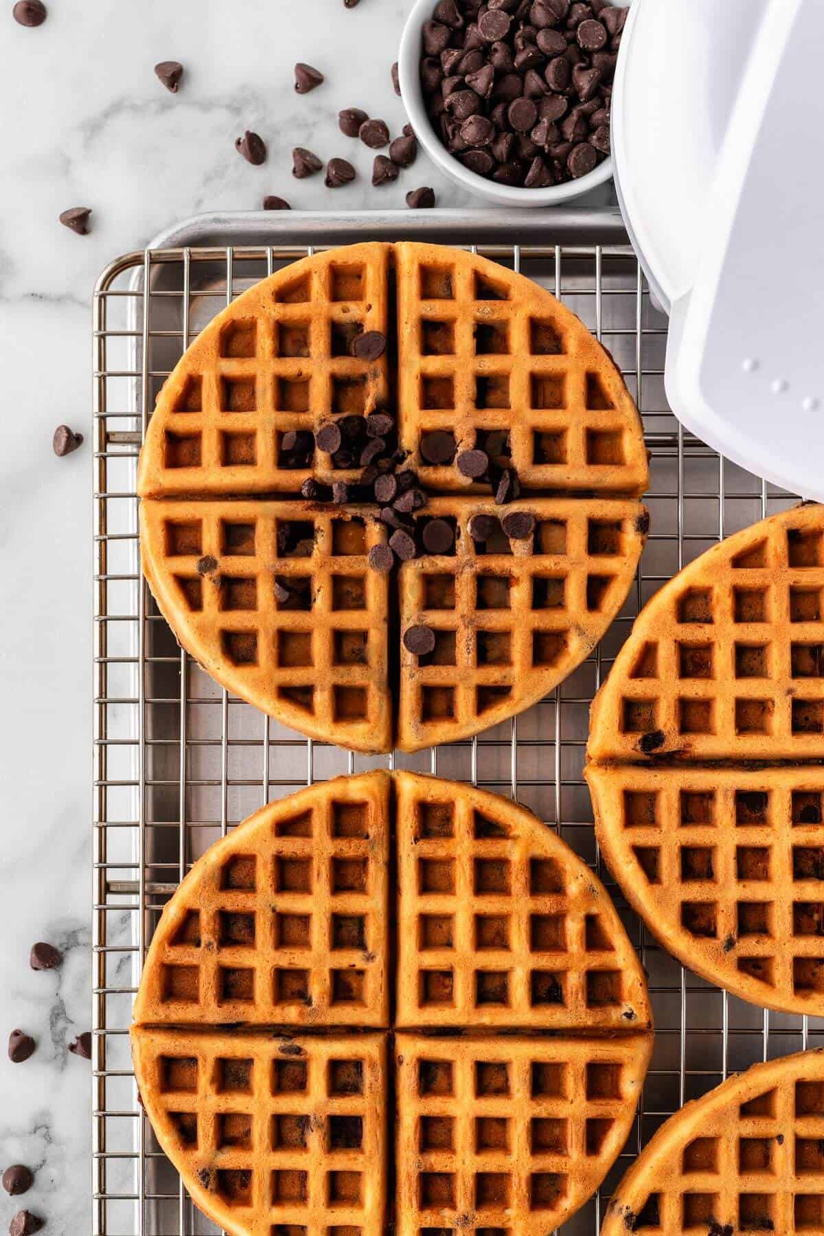Chocolate chip waffles with extra chocolate chips on top on cooling rack.