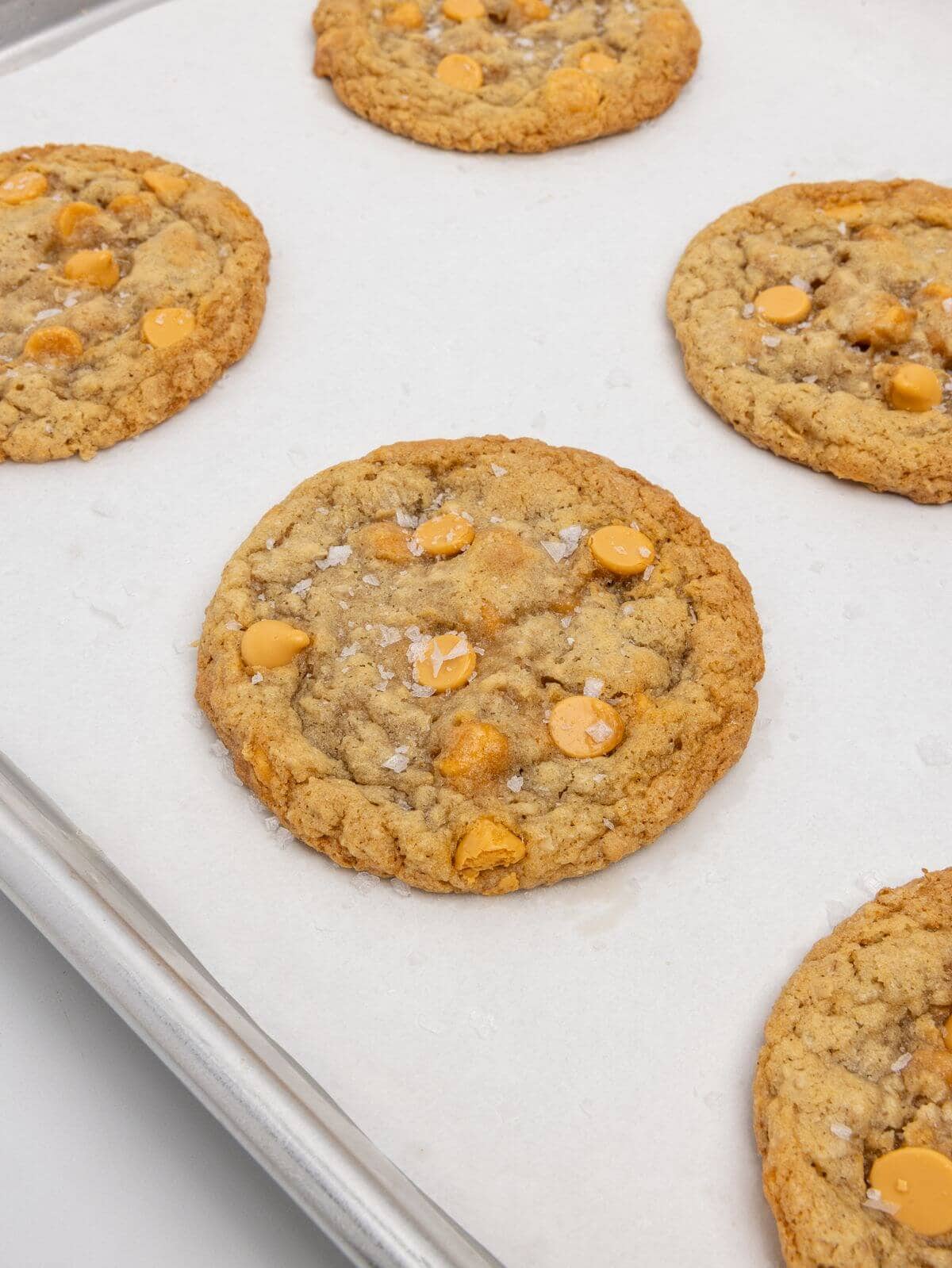 baked oatmeal scotchie cookies on parchment-lined baking sheet