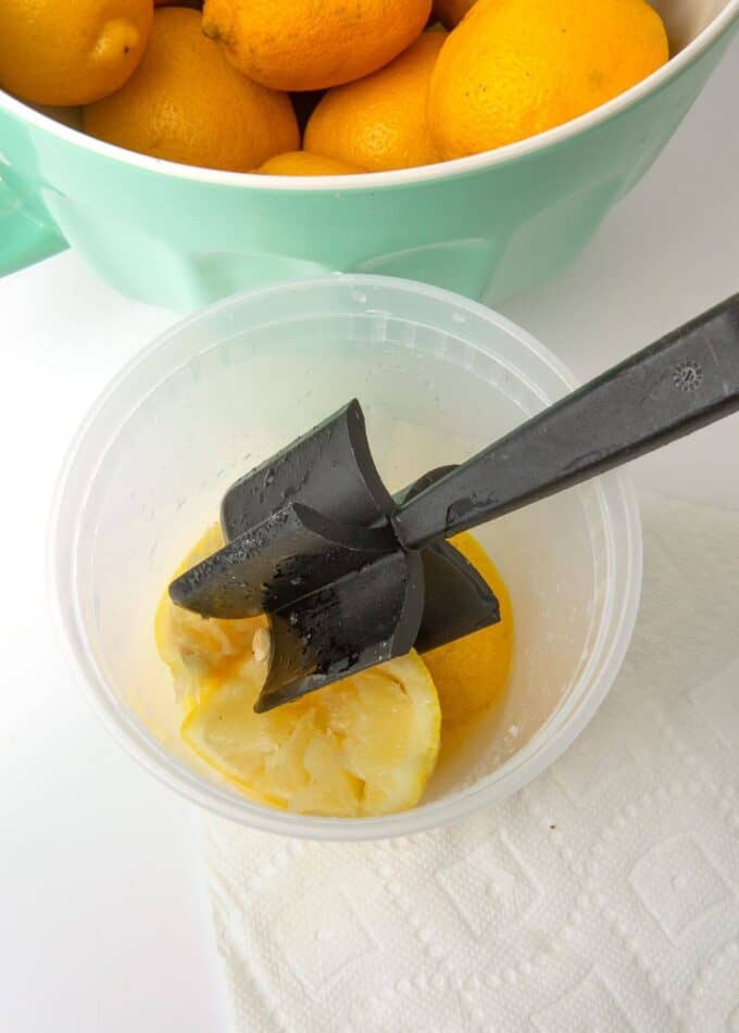 lemon slices in plastic container with muddler